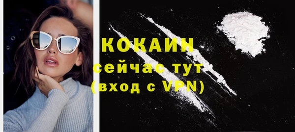 стафф Дмитров