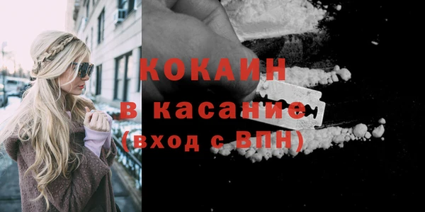 стафф Дмитров
