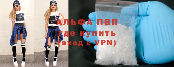 стафф Дмитров