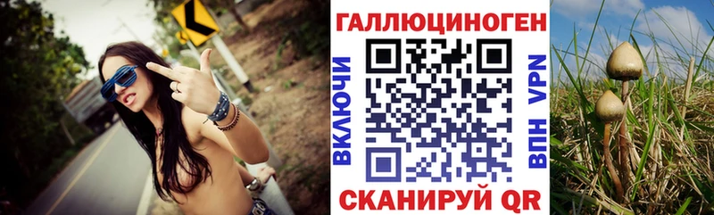 Псилоцибиновые грибы Psilocybine cubensis  Невинномысск 